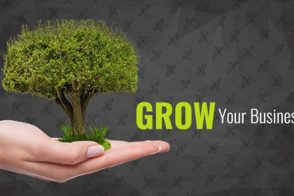 Tips To Grow Your Business